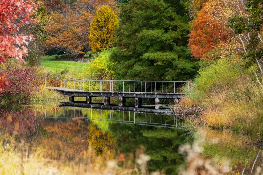 Narrow footbridge crossing calm lake in abundant autumn park